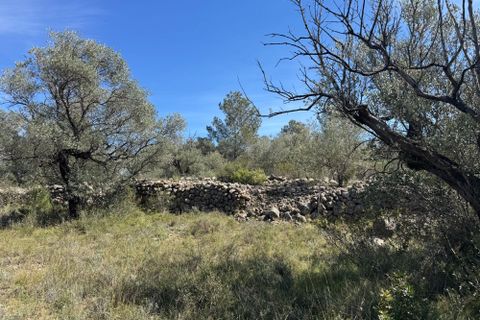 Tomt i Rossell, Castellon, Rossell - € 35 000 | Ref: Canguro - foto 10